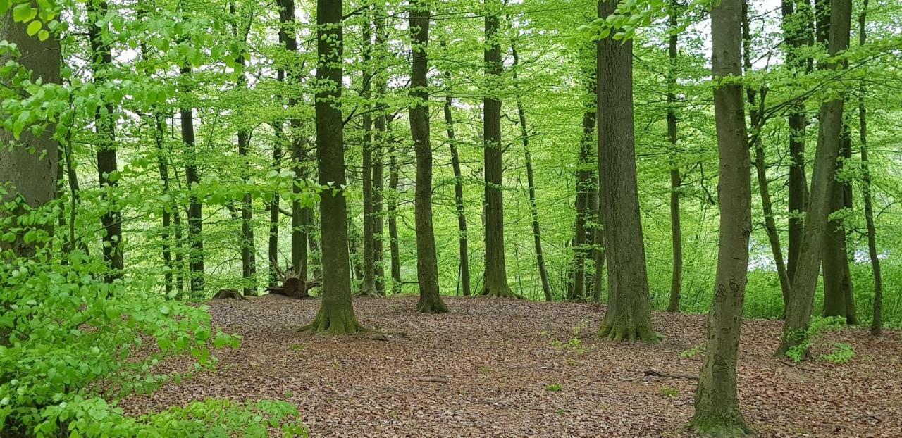Ferienhaus Heide 巴特法林波斯特 外观 照片